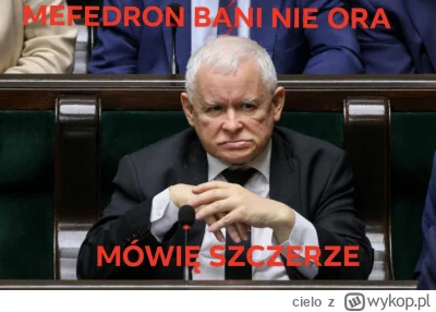 cielo - #sejm