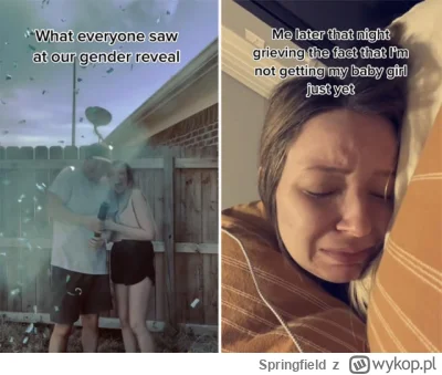 Springfield - gender reveal parties to tylko następny etap burzenia fundamentów zdrow...