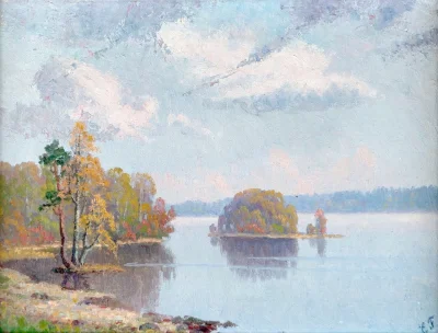 Corvus_Frugilagus - Ellen Favorin - Widok na jezioro

#corvusfrugilaguscontent