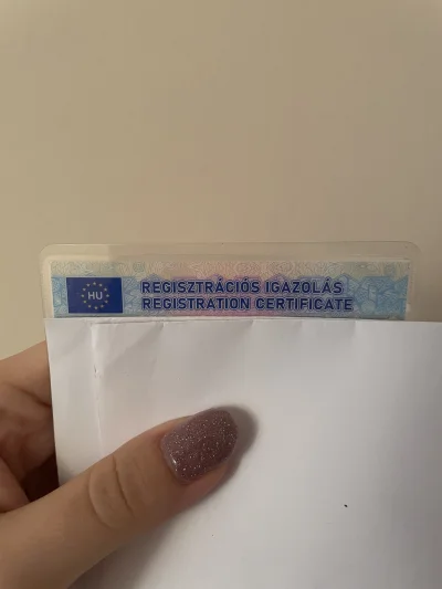 napraforgo - Niektórzy do Węgier uciekają, a ja właśnie z Węgier (po prawie trzech la...