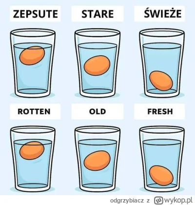 odgrzybiacz - Jak rozpoznać świeżość jajek? #gownowpis #poradnik #gotojzwykopem