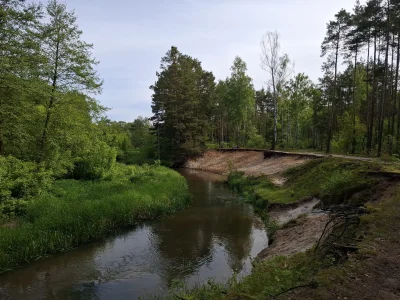 Outism0 - #przegryw #spierdotrip