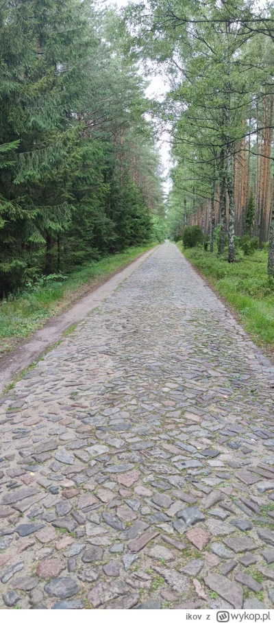 ikov - 491 292 + 90 + 63 + 10 + 2 + 1 + 2 + 1 + 2 + 1 + 2 + 1 + 8 + 2 = 491 477

Prac...