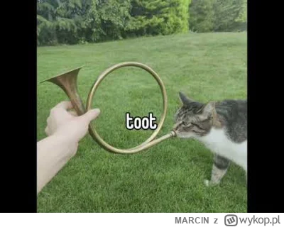 MARClN - Formula - Bratt Selection
złoto
#muzyka #muzkaelektroniczna #dnb #drumandb...