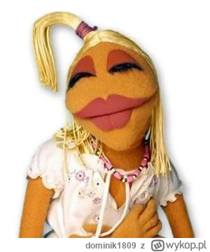 dominik1809 - @PolskaWrona