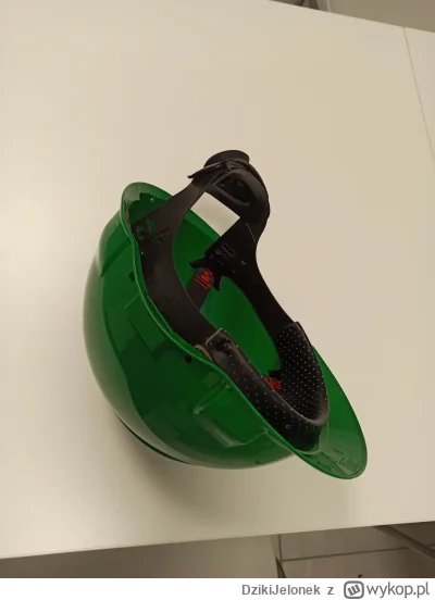 DzikiJelonek - #przegryw korona trukela