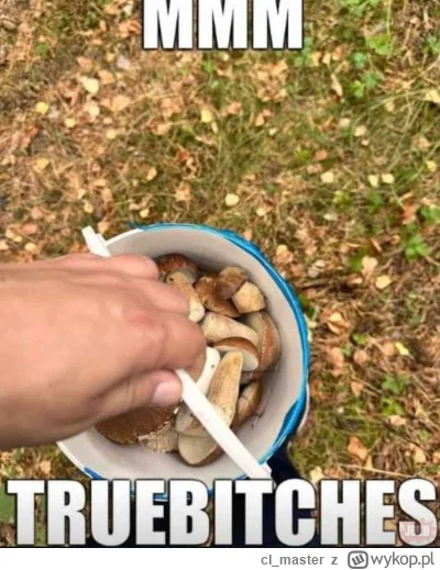 cl_master - #grzyby #heheszki #humorobrazkowy