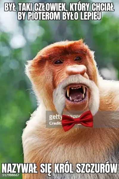 heinrich-von-spychow - #konkursnanajbardziejgownianymemznosaczem 
Nie ma takiego dowo...