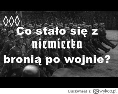 Buckwheat - @Fortyk: Żydzi w ogóle nie dostawali wsparcia, jak powstawał ich kraj xd ...