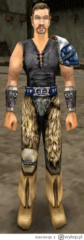 maciorqa - Chciałbym wiedzieć co miał w głowie typ, który dopuścił lekką zbroję najem...