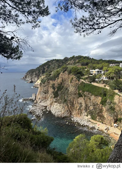 Invisko - #przegryw a wy co dalej polsza? Z różową espaniol