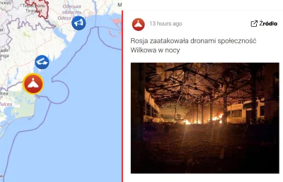 czlowiekzlisciemnaglowie - #kononowicz #patostreamy