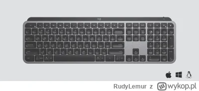 RudyLemur - Czy udało się komuś z was zamówić do Polski ze Stanów klawiaturę mx keys ...