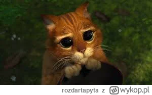 rozdartapyta - @silo1408: