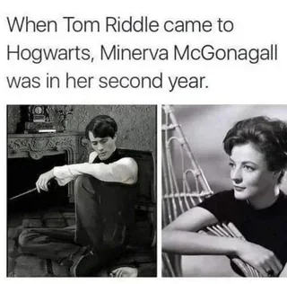 Tetrachloroizoftalonitryl - #harrypotter