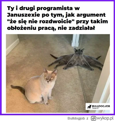 Bulldogjob - Kiedyś wszystkie czarne dni obrócimy w dobry żart. Albo i nie

#heheszki...