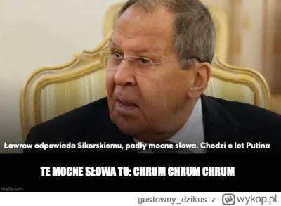 gustowny_dzikus - #rosja #wojna #ukraina #heheszki #polityka