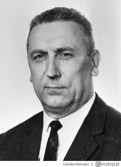 GenderBlender - Najlepszy polski deweloper? Change my mind.