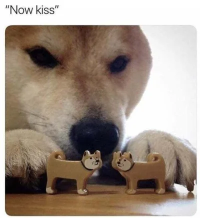 logika_logistyka - @dodi-lukebakio