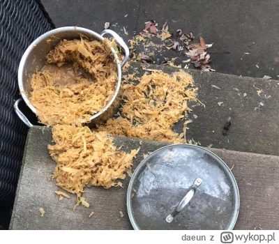 daeun - Wczoraj wieczorem wystawiłem kapuste na beton bo miałem już mało miejsca w lo...