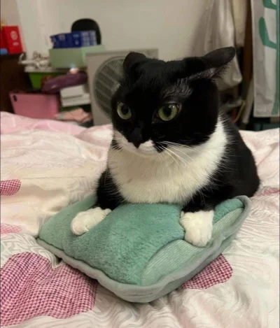 wybryk_natury - #zlodziejskiewybryki