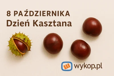 fevo - Uwaga! Dzień Kasztana na wykop.pl oficjalnie przełożony na dzisiaj 

Proszę si...