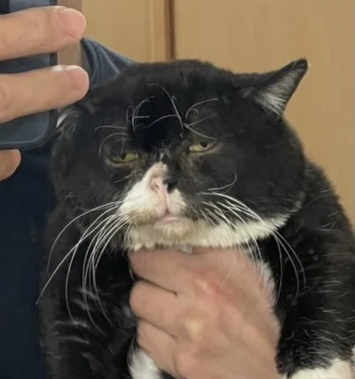 dywergent - a w ogole to dzisiaj juz drugi dzien z rzedu bylem na zewnatrz