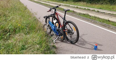 bluehead - Mieszkam 300 metrów od tej linii. Wzdłuż jest piękna droga dla rowerów.
