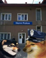 wfyokyga - Zamknęli mie