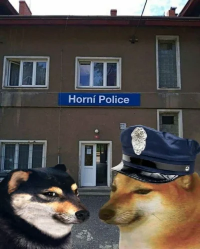 wfyokyga - Zamknęli mie