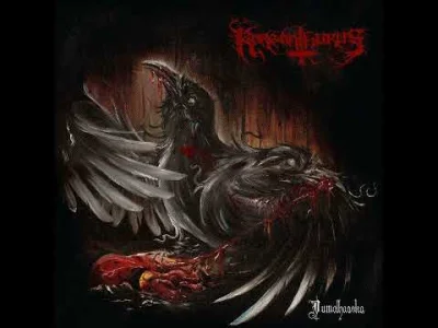 nekrofukk - #blackmetal pod schabowego