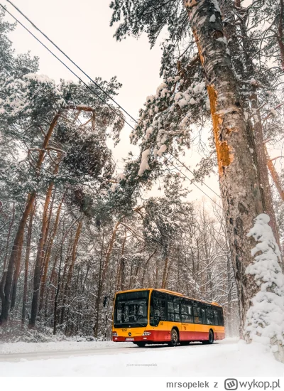 mrsopelek - Autobus pełen śniegu aż po brzegi
Mercedes tu pędzi sam zmienia biegi
Rad...