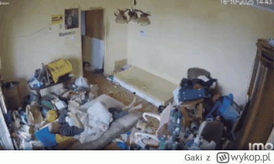 Gaki - #danielmagical #patostreamy