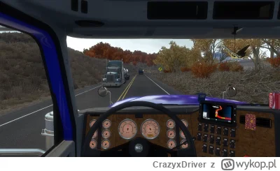 CrazyxDriver - #ats #ets2 #gry