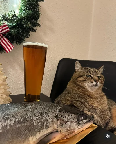 Lemmonix - Z rybom, tak?????? ( ͡º ͜ʖ͡º)
#codziennystepan #pdk