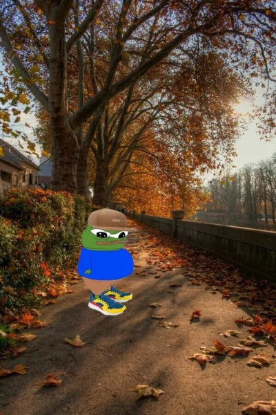 Noicozezebowniema - Chcę już jesienne spacery po miastowsi
#frenpill