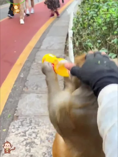 gagarin_kosmonauta - @CzikaKiri: wspólnie i w POrozumieniu chcieli nabić do głowy roz...