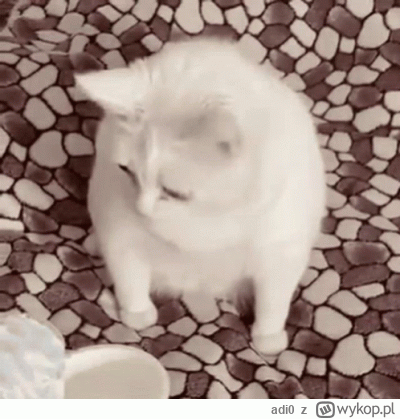 adi0 - @emerald-city: Kłeczek