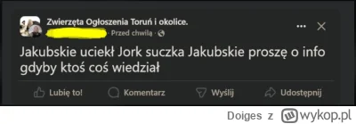 Doiges - #fredikamionka