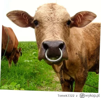 Tomek3322 - @arekis77: