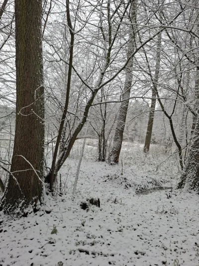 Gontyn- - #przegryw #spierdotrip