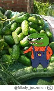 M.....n - Głowy do góry, jadą ogóry! #apustaja