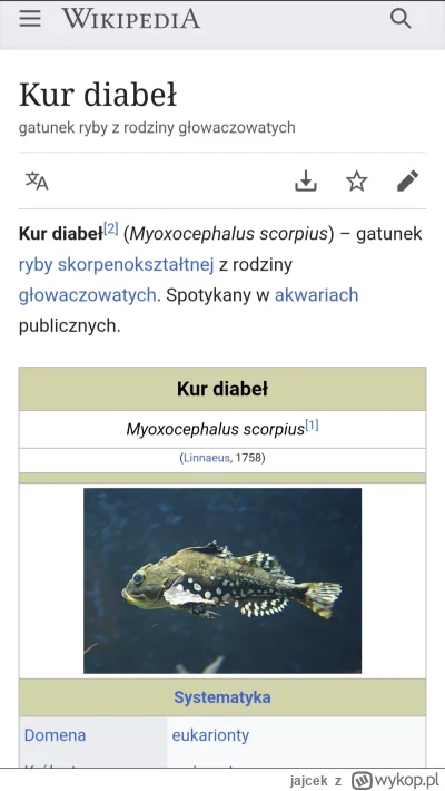 jajcek - @Polejmnie O...