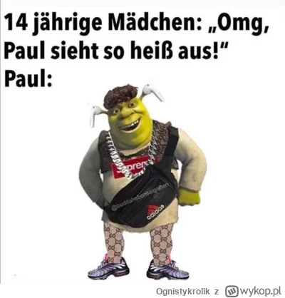 Ognistykrolik - #niemieckiememy 
Czternastolatki: OMG Paul jest taki gorący!
Paul: