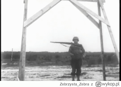 Zebrzysta_Zebra - #fizyka #bron #militaria #militaryboners
Różnica miedzy karabinem, ...