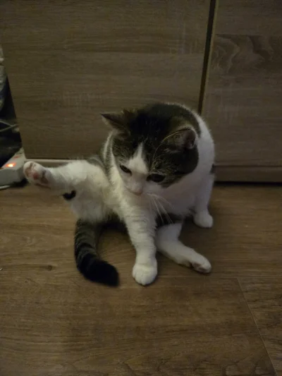 Solsith - @StaryWedrowiec: ić stond( ͡° ʖ̯ ͡°)