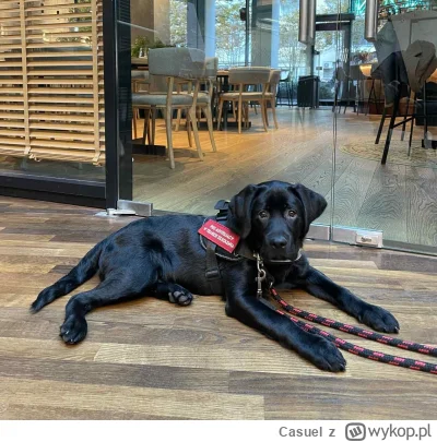 Casuel - "To restauracja, która wyrzuciła mnie ze środka i odmówiła podania jedzenia,...