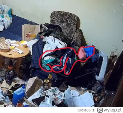 Olcia66 - #danielmagical mariusz ma towarzystwo, raszejską świnie w czapeczce urodzin...