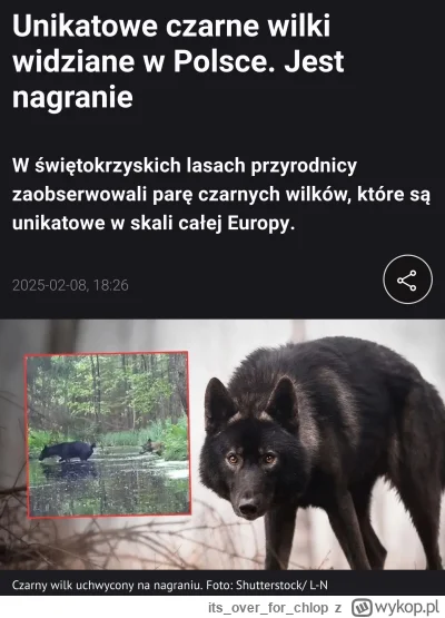 itsoverfor_chlop - Co tam knujecie Wilkuchy? #heheszki