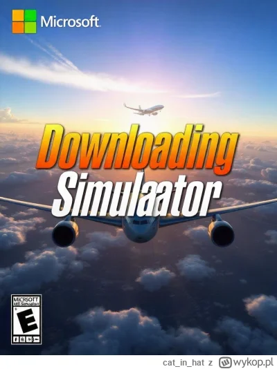 catinhat - #flightsimulator #gry